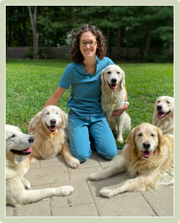 Watertown Veterinarian