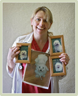 Watertown Veterinarian